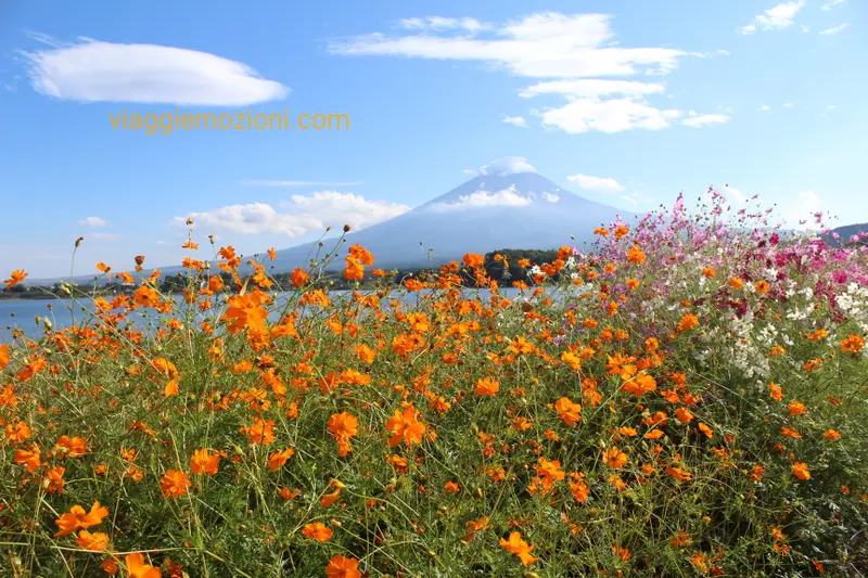 Monte Fuji, Giappone